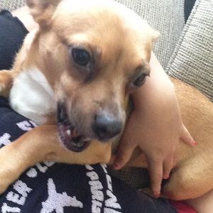 Meet your Posher, Deanna